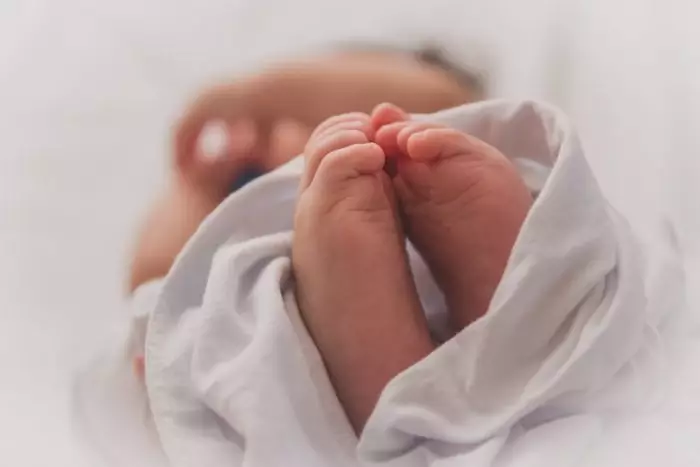 Se realizó primer Encuentro Virtual de la Red Panamericana por el Derecho a la Vida 1 Luma Pimentel por Unsplash
