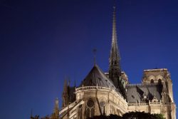 Notre Dame Aguja