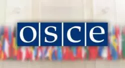 Vaticano cuestiona medidas contra la libertad religiosa por causa de la pandemia 2 OSCE