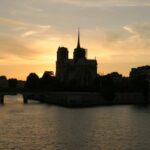 Cat Notre Dame de Paris noche 132 3210