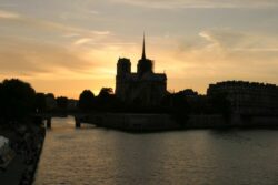 Cat Notre Dame de Paris noche 132 3210