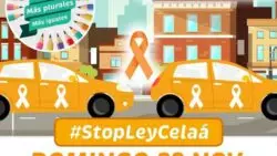 España se llenará de coches, protestando contra la reforma a la Ley de Educación 2 Manifestacion coches