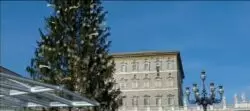 "Vayamos a confesarnos": Papa en el Ángelus 2 Papa Plaza de San Pedro