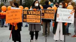 Un millón de personas se manifestaron ayer en España, contra la ley de educación Celaá 2 Protestas