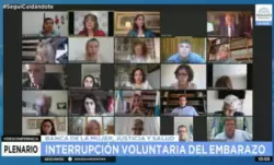 Expertos hablan ante el Senado argentino contra la legalización del aborto 2 Screenshot 2020 12 16 Expertos defienden las dos vidas en las exposiciones en el Senado AICA org
