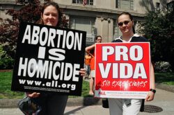 Aborto Provida