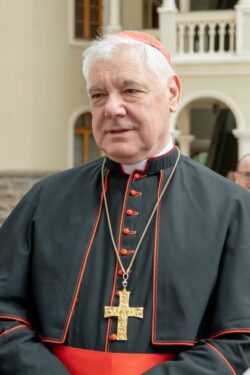 Cardenal Muller 3