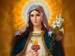 Admiración, antídoto contra la mediocridad y el egoísmo 4 Imaculado Coracao de Maria 1 700x525 1