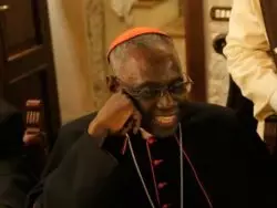 Cardenal Sarah: Los obispos deben ser “guardianes de la fe recibida” so pena de ser asumidos “como dirigentes políticos” 3 Cardenal 2