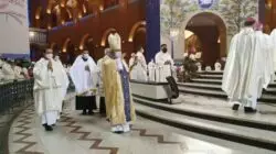 Cardenal de Río preside peregrinación al Santuario de Aparecida, en Brasil 2 Cardenal Orani