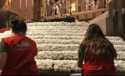 Mais de 15 mil cravos brancos sao oferecidos a Nossa Senhora na Espanha 2 700x425 1