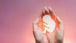 Arquidiócesis de Xalapa, México, anuncia Día de Luto por fallos proaborto de Suprema Corte 2 NIno 1