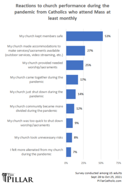 Pillar survey 2