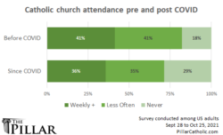 Pillar survey