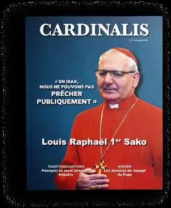 “Cardinalis” Magazine: el proyecto mediático para que los Cardenales se conozcan entre ellos 1 3