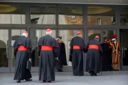 Sorpresas, curiosidades, en la lista de nuevos cardenales 2 1407 20130308 GK