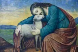 El Papa profundizó en lo que es ser la Buena Oveja del Señor 2 Oveja Senor