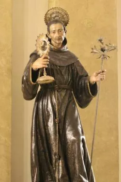 San Pascual Bailon 3