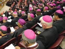 Iglesia en Francia, ¿tras los pasos del Camino sinodal alemán? 2 Assembleia Geral Ordinaria do Sinodo dos Bispos 2