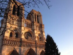 Catedral de Notre Dame de Paris sediara concerto de Natal 5