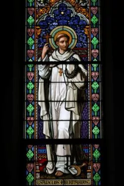 San Bernardo de Claraval, carisma infinito, subyugado por la Virgen, protector de los Templarios 3 San Bernardo 1