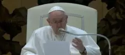 Papa retoma sus catequesis sobre la ancianidad 2 Sin titulo 2