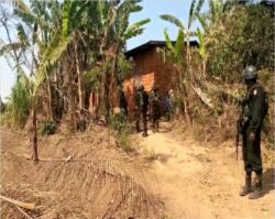 Ambazonian separatist hideout in Ntanka Bamenda 700x557 1