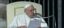Otro “ingrediente” del discernimiento: Saber leer la propia vida, dijo el Papa 2 Papa audiencia