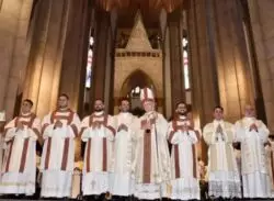 Cardenal Scherer ordena siete nuevos diáconos para la Arquidiócesis de São Paulo 2 Cardeal Odilo ordena sete novos diaconos para a Arquidiocese de Sao Paulo 1 700x513 1