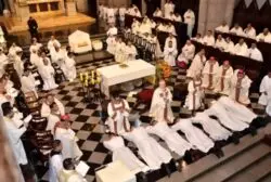 Cardenal Scherer ordena siete nuevos diáconos para la Arquidiócesis de São Paulo 3 Cardeal Odilo ordena sete novos diaconos para a Arquidiocese de Sao Paulo 2 700x471 1