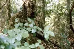 Guerra, marionetas y camuflajes rusos 2 Marine sniper ghillie suit