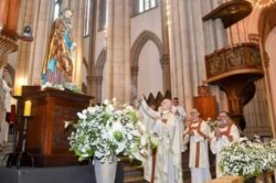 Cardeal Odilo preside Missa na solenidade da conversao de Sao Paulo Apostolo 1 700x464 1