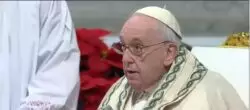 Papa dijo que la maternidad divina de la Virgen es vinculación de divinidad con humanidad 2 Papa