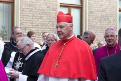 800px Prozession Beisetzung Kardinal Meisner 4100