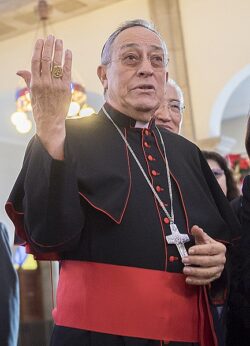 Cardenal Rodriguez Maradiaga