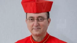 Cardeal Sergio da Rocha e nomeado como membro do Conselho de Cardeais