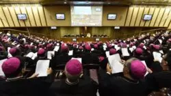 El Papa ha decidido que en asamblea del sínodo haya laicos con voto 2 1540901313549