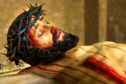 Pasión de Cristo, co-pasión de María, ¿co-pasión de los fundadores? 2 IMG 5166 20220414 IGB 2