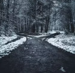 Sentido del absoluto vs. sentido infernal: los caminos que se le abren al alma humana 2 oliver roos PCNdauVPbjA unsplash