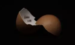 “Cisma”, pero... ¿quiénes son los cismáticos? 2 dennis anderson jVPJW4rvBI4 unsplash