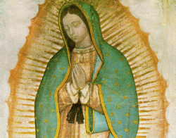 Nossa Senhora de Guadalupe 4 768x601 1