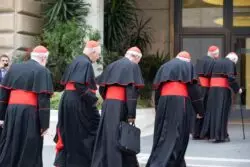 Cardenal niega rumores sobre participación de laicos en cónclave 2 5 1