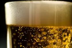 Una jarra de cerveza absoluta: la vía espiritual de Plinio Corrêa de Oliveira 2 yesmore content uob6xqPOvvU unsplash