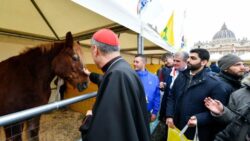 Animais sao abencoados no Vaticano durante a Festa de Santo Antao Abade 1