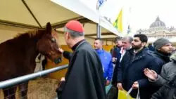 Animales fueron bendecidos en el Vaticano en la fiesta de San Antonio Abad 3 Animais sao abencoados no Vaticano durante a Festa de Santo Antao Abade 1