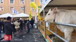 Animales fueron bendecidos en el Vaticano en la fiesta de San Antonio Abad 2 Animais sao abencoados no Vaticano durante a Festa de Santo Antao Abade
