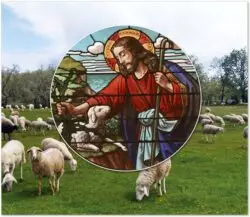El deber del pastor y el deber de la oveja 2 O Bom Pastor 696x605 1