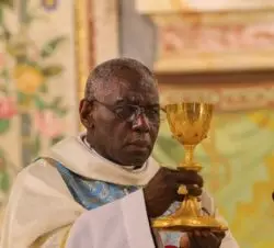 Cardenal Sarah: Hay que combatir el ateísmo revolución-cultural, incluso dentro de la Iglesia 3 6 3