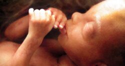 PL do aborto CNBB se manifesta em defesa da vida