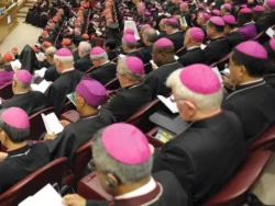 Assembleia Geral Ordinaria do Sinodo dos Bispos 2 700x525 1